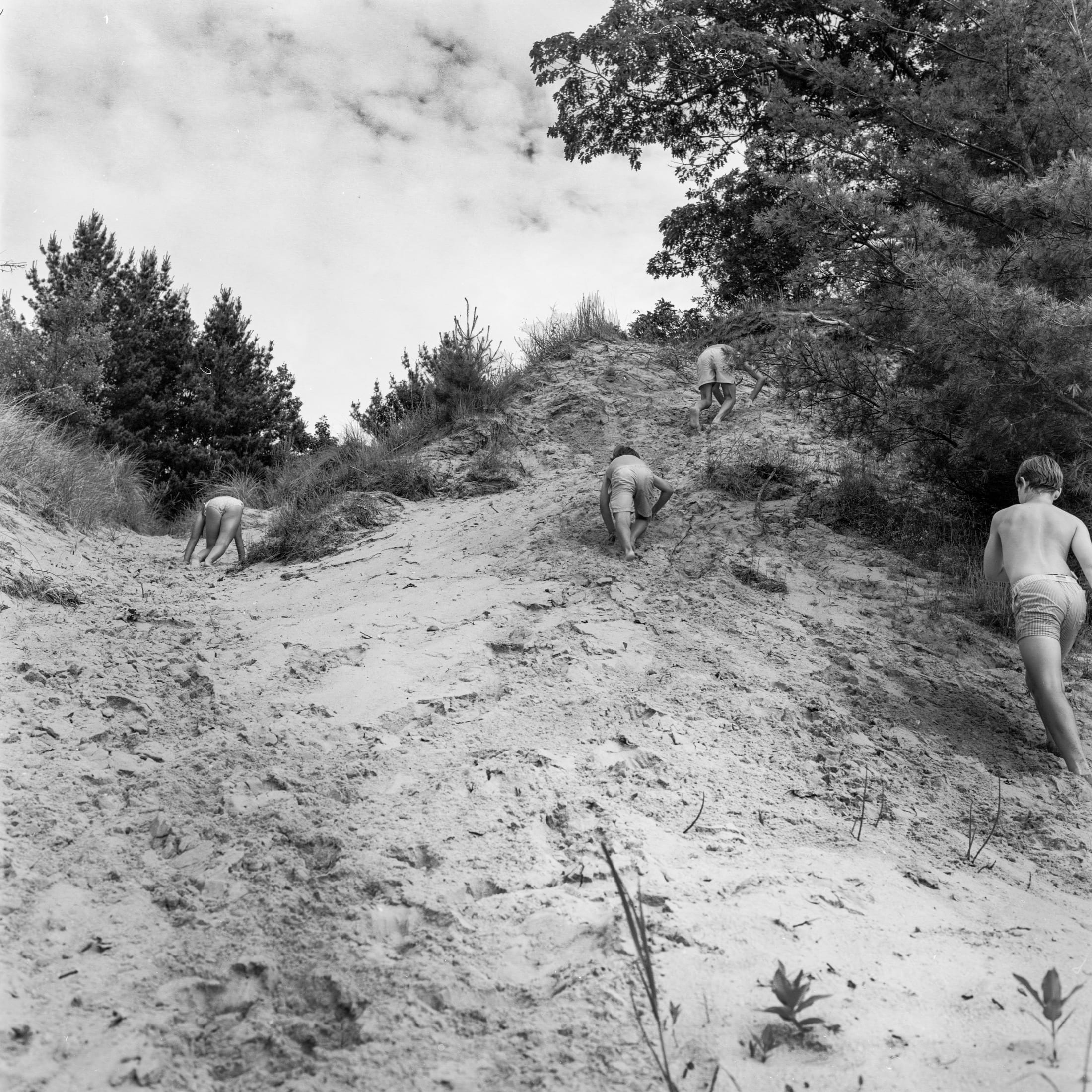 Interior Landscape — threshold