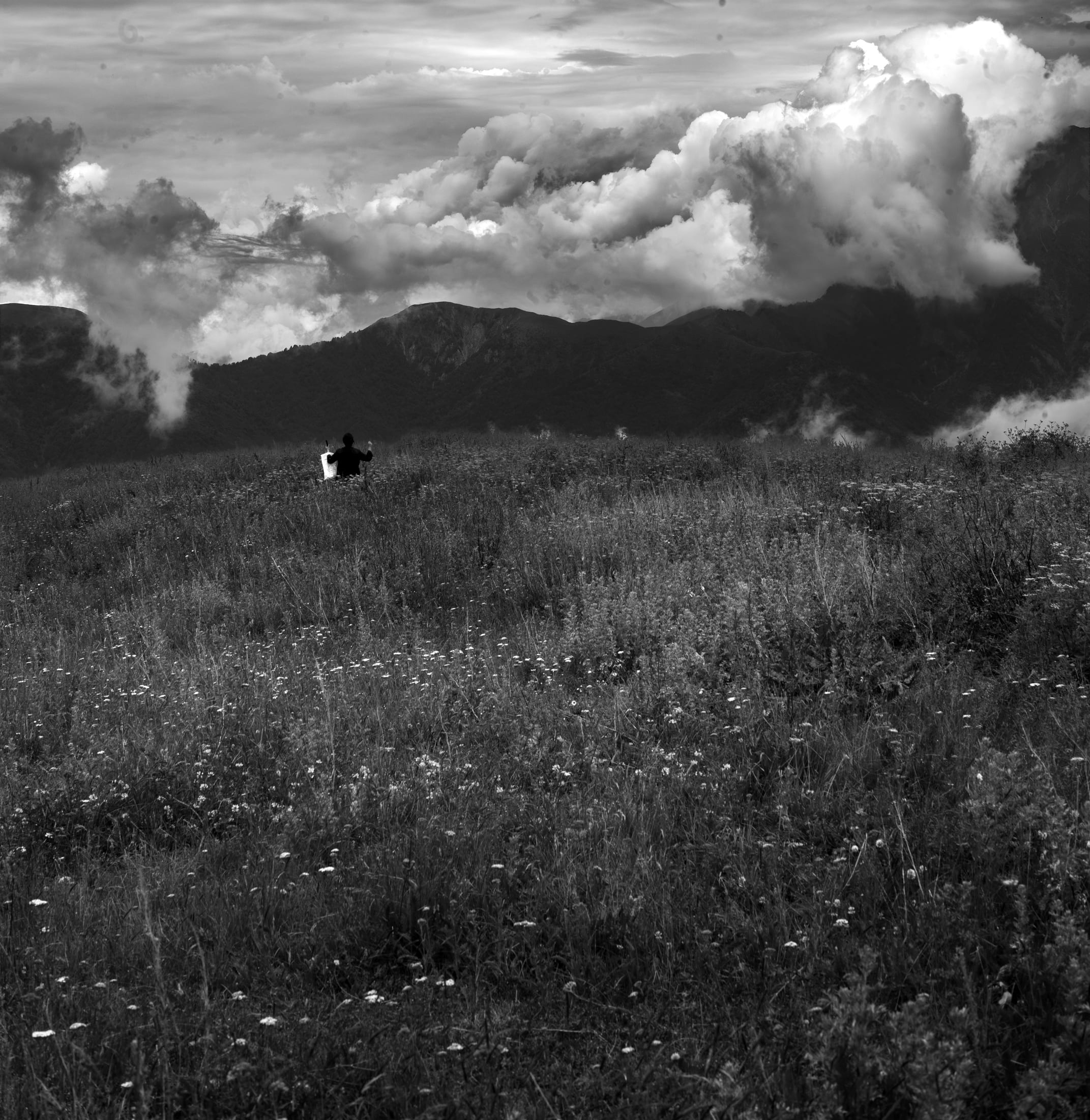 Interior Landscape — open country, left panel